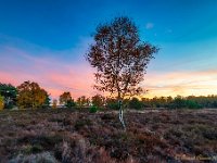 20181106 0203-HDR 1 : Leenderheide, Nederland, Plaatsen, Valkenswaard