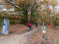 20181109 0078 : Leenderheide