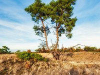 20181114 0022 : Leenderheide