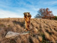 20181114 0032 : Leenderheide