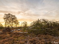 20191024 0082-HDR : Leenderheide