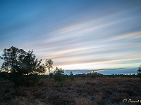 20191024 0090 : Leenderheide