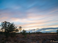 20191024 0092 : Leenderheide