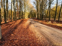 20191218 0011 : Leenderheide