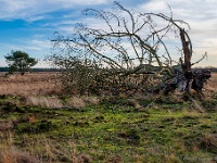 20191218 0015 : Leenderheide