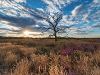 20200817 0053 : Leenderheide