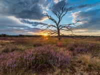 20200817 0095-HDR : Leenderheide, Nederland, Plaatsen, Valkenswaard