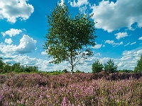 20200819 0014-Pano : Leenderheide, Nederland, Plaatsen, Valkenswaard