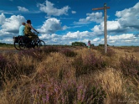 20200819 0081 : Leenderheide