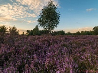 20200829 28 stack : Leenderheide