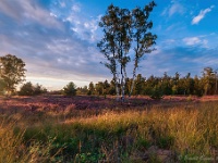 20200829 0105-HDR : Leenderheide, Nederland, Plaatsen, Valkenswaard