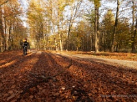 20201106 0050 1 : Leenderheide