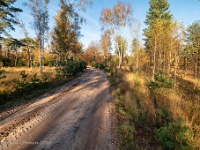 20201106 0054 : Leenderheide