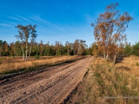 20201106 0105 : Leenderheide