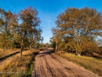 20201106 0107 : Leenderheide