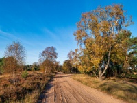 20201106 0108 : Leenderheide