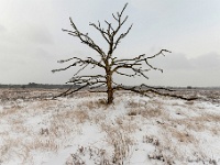 20210208 0091 : Leenderheide