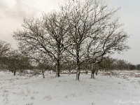 20210208 0101 : Leenderheide