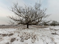 20210208 0104 : Leenderheide