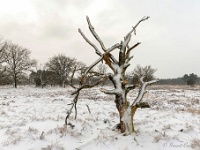 20210208 0106 : Leenderheide