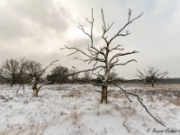 20210208 0108 : Leenderheide