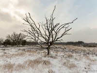 20210208 0111 : Leenderheide