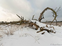 20210208 0134 : Leenderheide