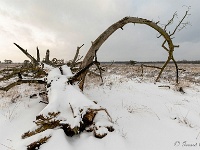 20210208 0136 : Leenderheide