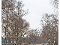 Leenderheide_20100211_010