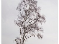 Leenderheide_20100211_012