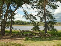 Leenderheide__20100828_0010