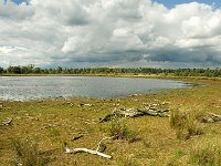 Leenderheide__20100828_0011