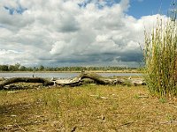 Leenderheide__20100828_0012