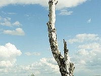Leenderheide__20100828_0020