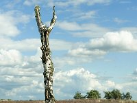 Leenderheide__20100828_0041
