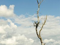 Leenderheide__20100828_0043