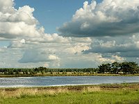 Leenderheide__20100828_0048