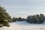 Gerard_20100105_010