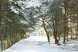 Gerard_20100105_011