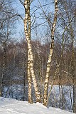 Gerard_20100105_016