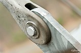 Gerard_20120304_0085