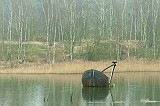 Gerard_20120304_0109