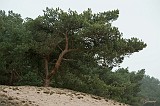 Gerard_20120304_0122