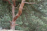 Gerard_20120304_0126