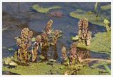 sized_20090321_033_1