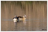 sized_20090321_039