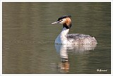 sized_Fuut_20090321_061