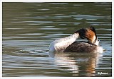 sized_fuut_20090321_048