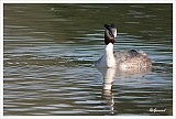 sized_fuut_20090321_049