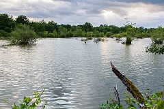 20150708_0004